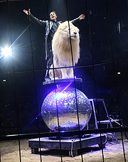 2 Dutzend Löwen und Tiger in der Manege von Martin Lacey jr.